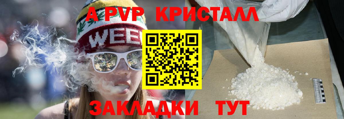 А ПВП крисы CK Прокопьевск