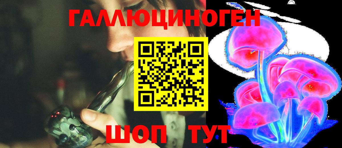 Прокопьевск  Псилоцибиновые грибы Psilocybine cubensis  Вход с VPN  Галлюциногенные грибы GOLDEN TEACHER 